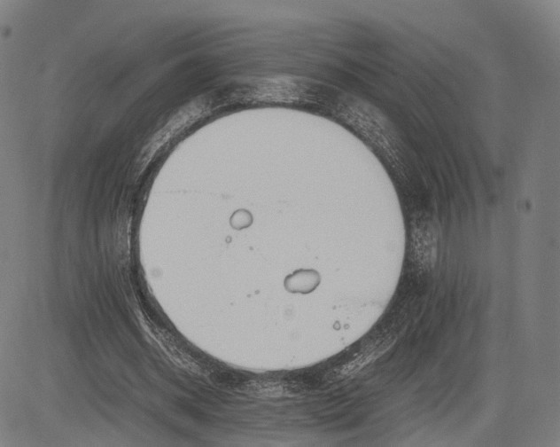 X0000083010534200702161553