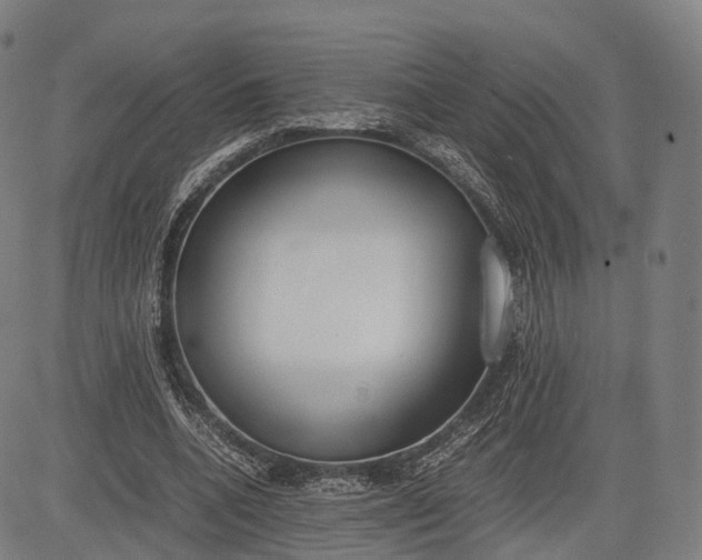 X0000083010536200702161553