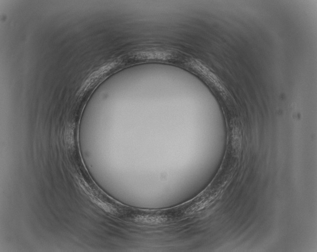 X0000083010537200702161553