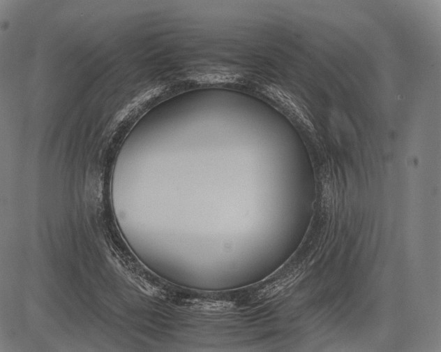 X0000083010539200702161554