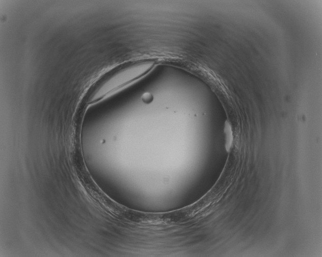 X0000083010540200702161554