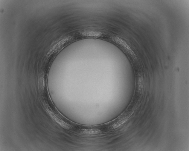 X0000083010541200702161554