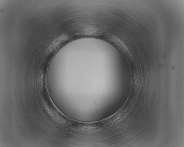 X0000083010542200702161554