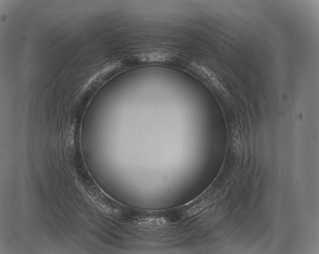 X0000083010543200702161554