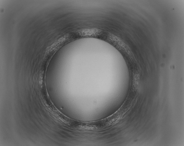 X0000083010545200702161554