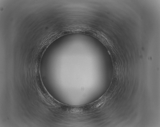 X0000083010546200702161554