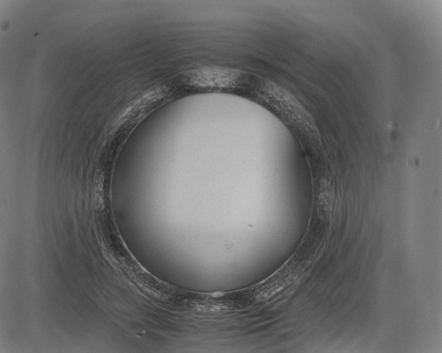 X0000083010547200702161554