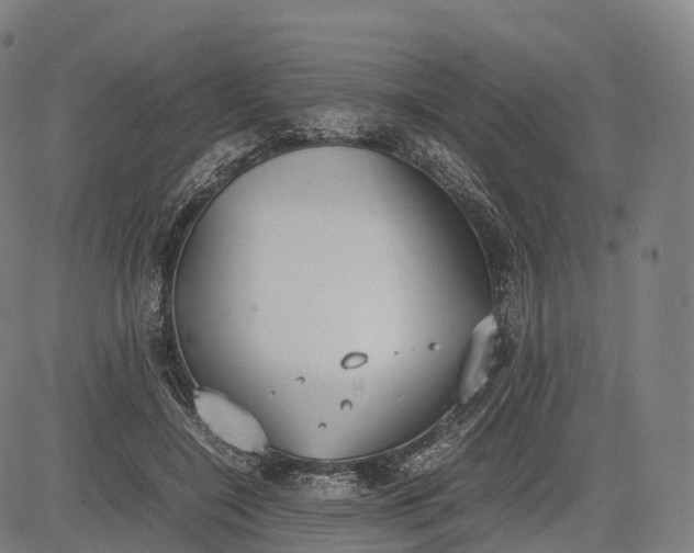 X0000083010548200702161554