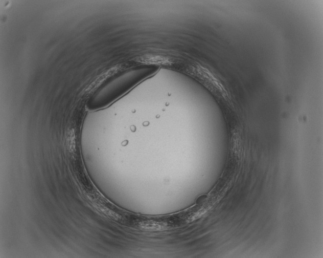 X0000083010549200702161554