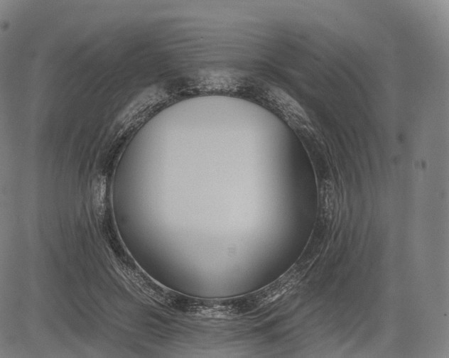 X0000083010550200702161554