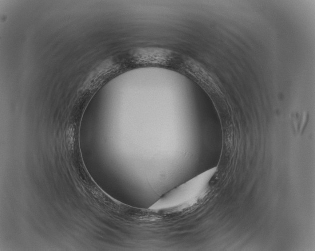 X0000083010551200702161554