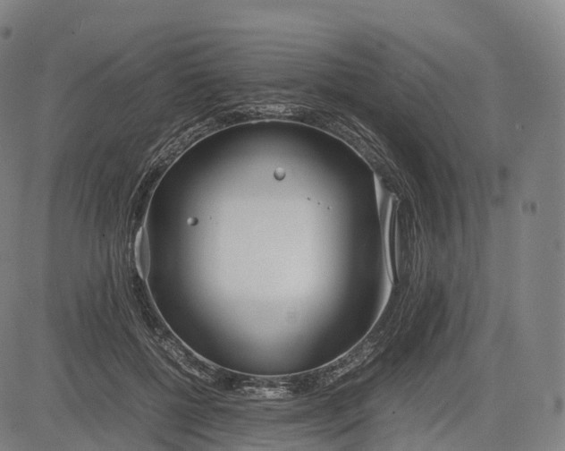 X0000083010552200702161554