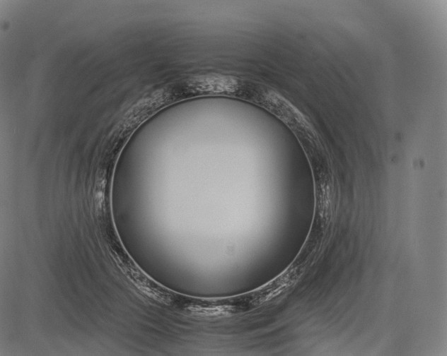 X0000083010553200702161554