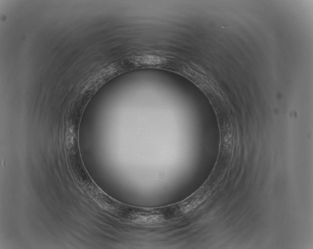 X0000083010555200702161554