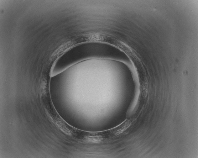 X0000083010556200702161554