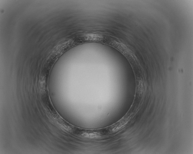 X0000083010557200702161554