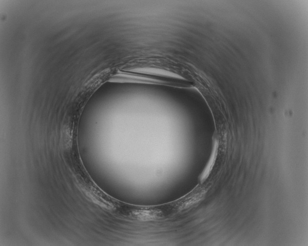 X0000083010558200702161554