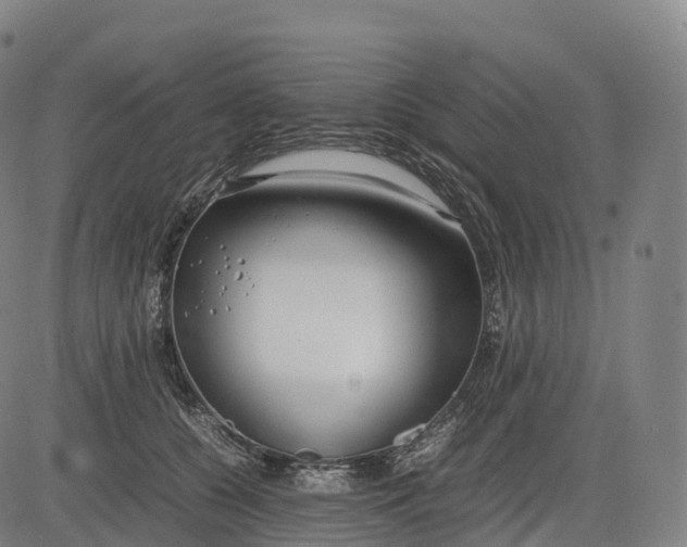 X0000083010560200702161554