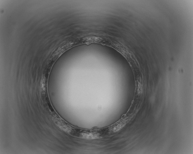 X0000083010561200702161554