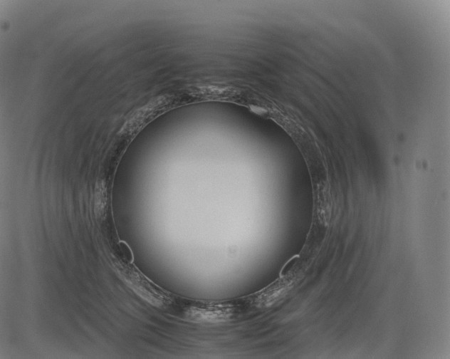 X0000083010563200702161554