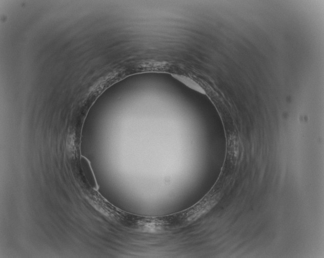 X0000083010564200702161554