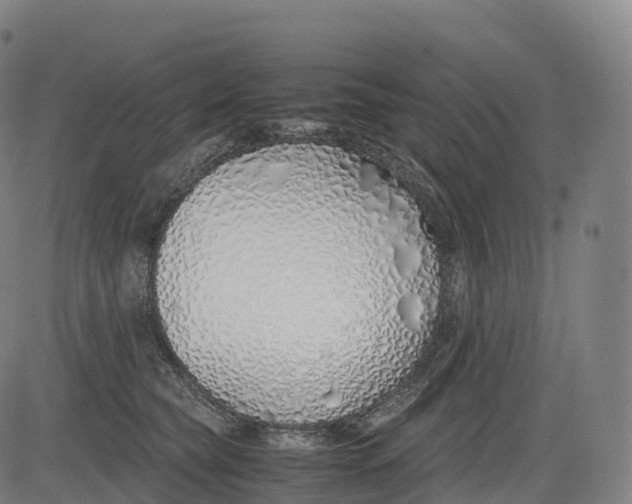 X0000083010565200702161554