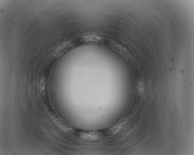 X0000083010567200702161554