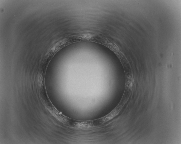 X0000083010568200702161554