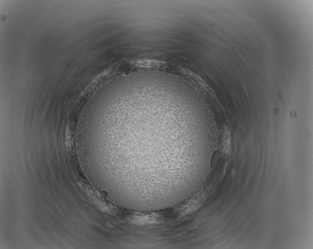 X0000083010569200702161554