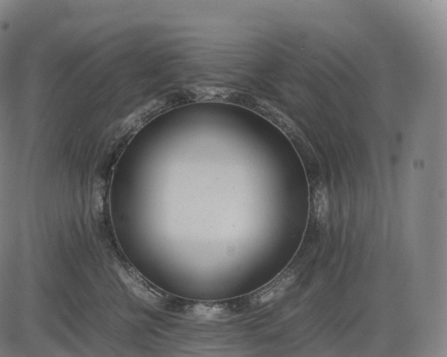 X0000083010570200702161554