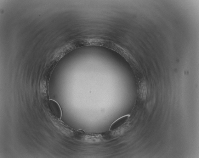 X0000083010571200702161554