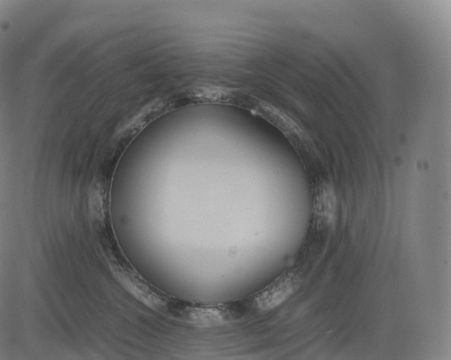 X0000083010572200702161554