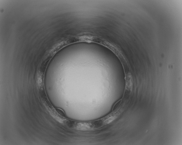 X0000083010573200702161554