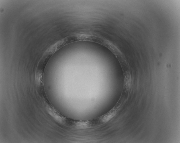 X0000083010574200702161554