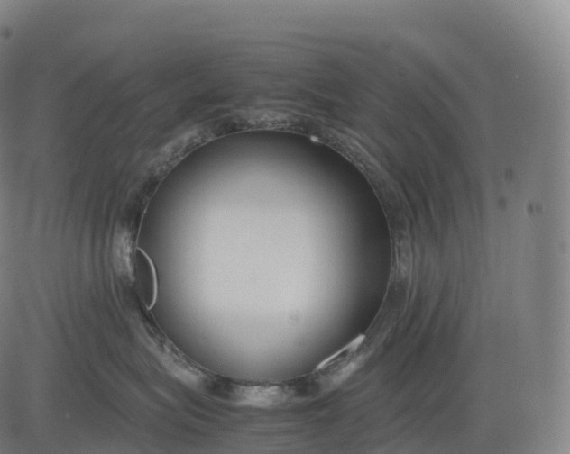 X0000083010575200702161554