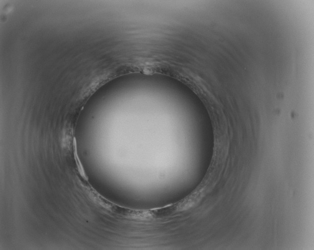 X0000083010576200702161554