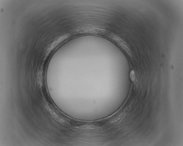 X0000083010578200702161553