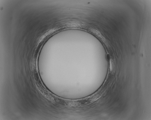 X0000083010579200702161553