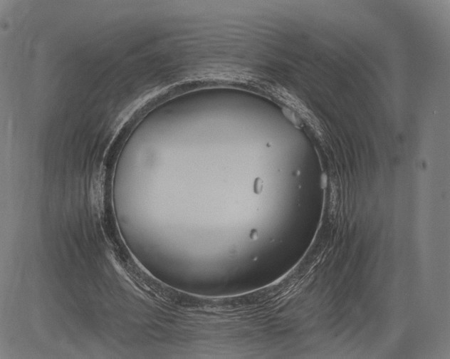 X0000083010580200702161553