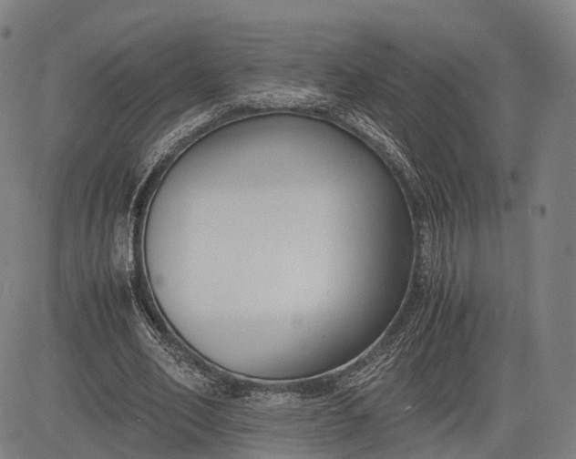 X0000083010582200702161553