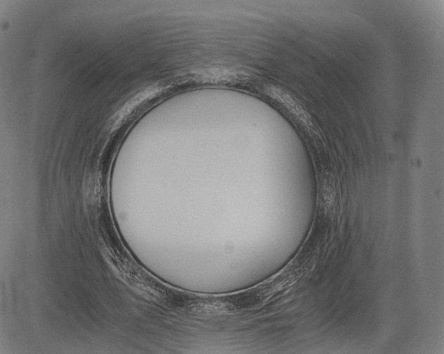 X0000083010583200702161553