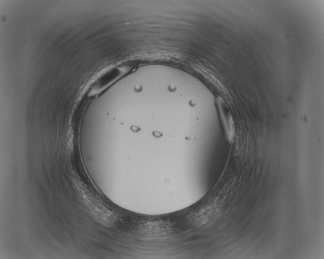 X0000083010584200702161553