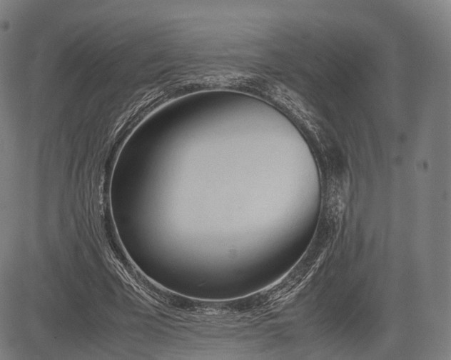 X0000083010585200702161553