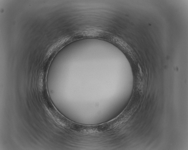 X0000083010586200702161553