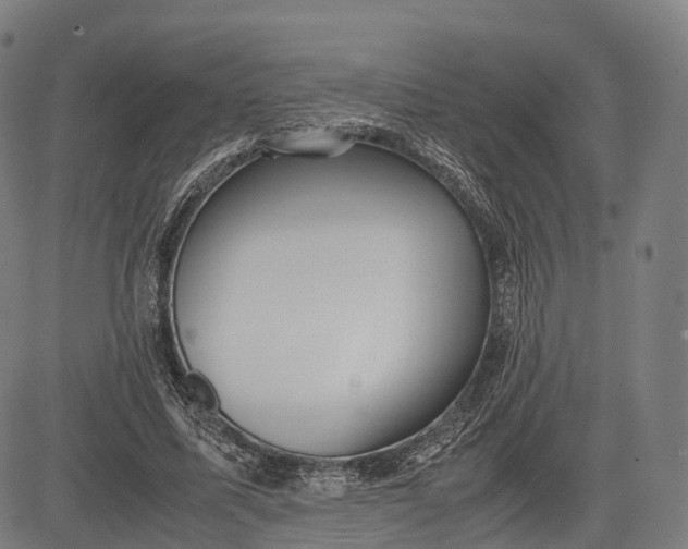 X0000083010587200702161553