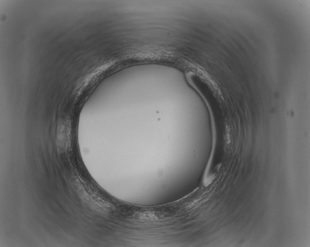 X0000083010588200702161553