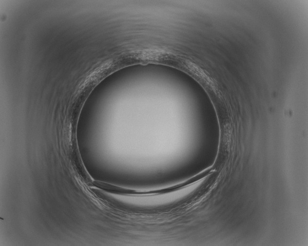 X0000083010589200702161553