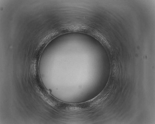 X0000083010590200702161553