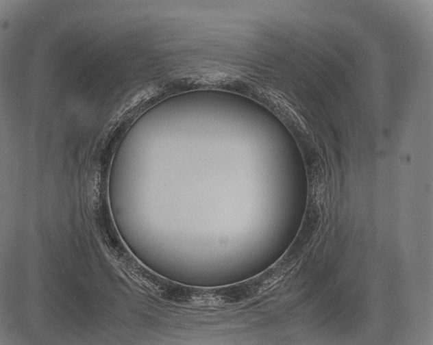 X0000083010591200702161553