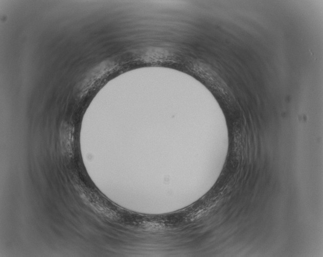 X0000083010592200702161553